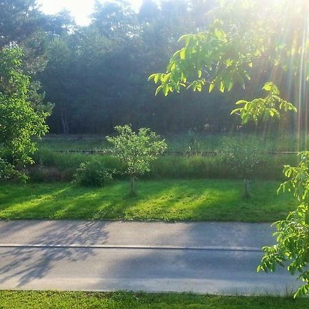Relax U Lesa Daire Ratiskovice Dış mekan fotoğraf